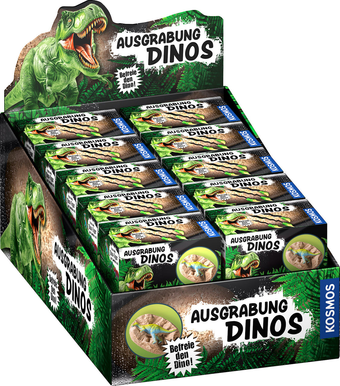 Ausgrabung Dinos (20 Ex. im Display)